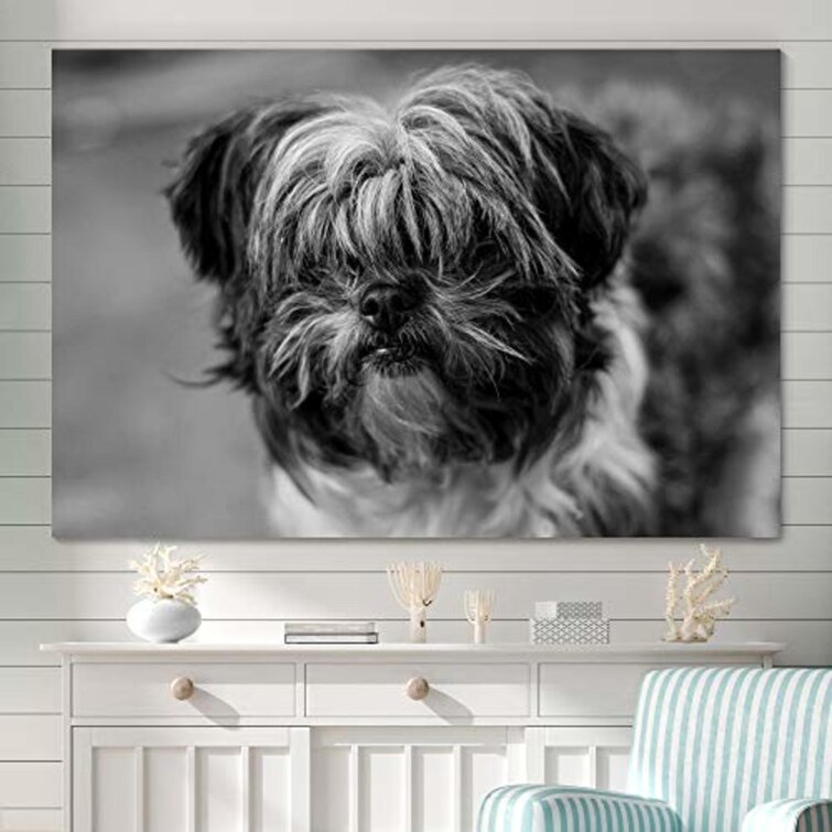 Black and white dog wall clearance art